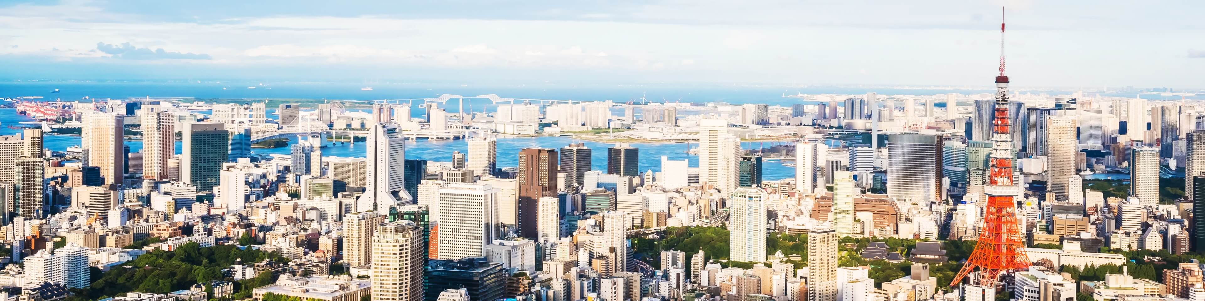 会社情報